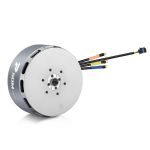 Hobbywing XRotor P50 M (15635) Motorlar — 9KV