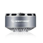 Hobbywing XRotor P50 M (15635) Motorlar — 9KV