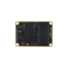 RadioMaster GX15 Modül Kartı