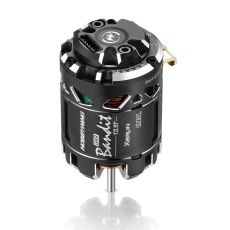 Hobbywing XERUN BANDIT V10 G4R motor — 17.5T