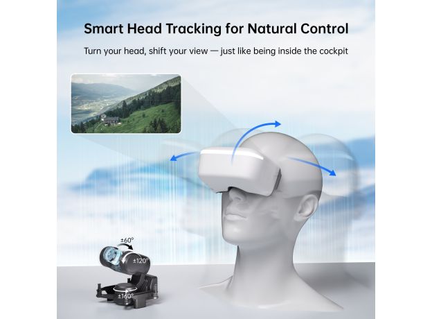Walksnail Avatar HD Goggles L