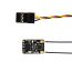RadioMaster R81 V2 Receiver — LBT