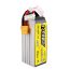 Tattu 1700mAh 6S 95C 22.2V LiPo Batarya | XT60 Konnektör | R-Line 1.0