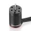 Hobbywing QUICRUN 2030 SL Motor — 5000KV