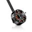 Hobbywing XRotor FPV 3110 Motorlar — 900KV