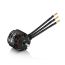 Hobbywing Platinum FW 4120 Motorlar — 250KV