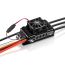 Hobbywing Platinum 180A V5 ESC - HV Series (6-14S)