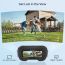Walksnail Ascent HD Goggles