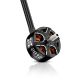 Hobbywing XRotor FPV 2812 Motors — 900KV