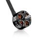 Hobbywing XRotor FPV 3115 Motorlar — 900KV